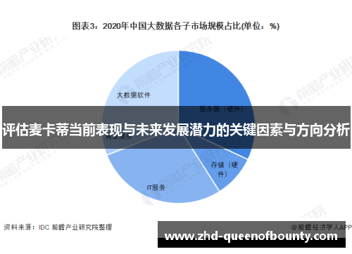 评估麦卡蒂当前表现与未来发展潜力的关键因素与方向分析