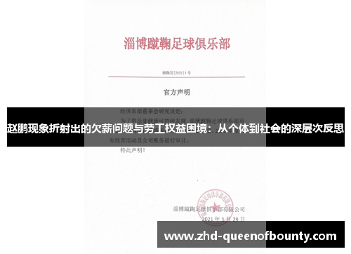 赵鹏现象折射出的欠薪问题与劳工权益困境：从个体到社会的深层次反思