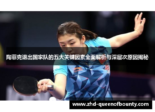 陶菲克退出国家队的五大关键因素全面解析与深层次原因揭秘